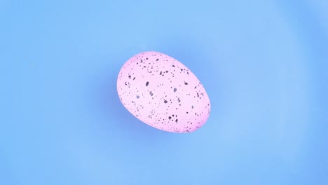 a colored easter egg spins on a plate.