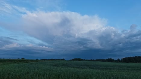 el campo de trigo pasa el tiempo con las nubes de tormenta que se acercan a la tormenta