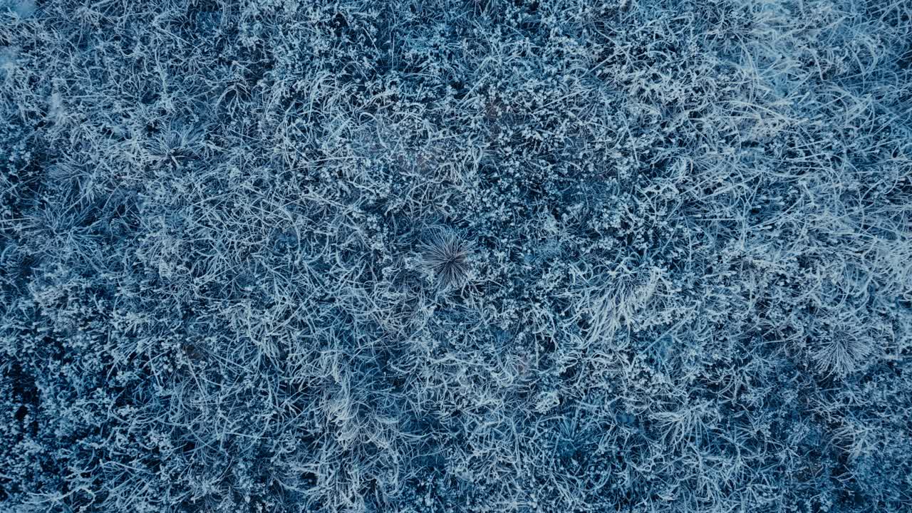 indre fosen, contea di trondelag, norvegia - un fogliame coperto di neve di omundvatnet - dall'alto verso il basso