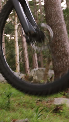 male mountain biker riding in the forest