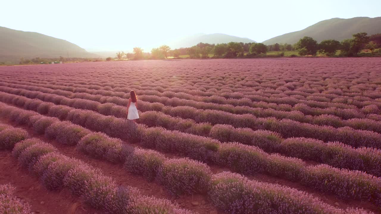 mujer caminando por un campo de lavanda al atardecer