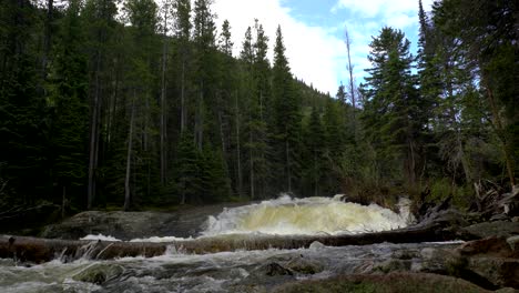 st vrain creek in the rocky mountains