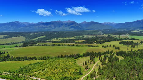 spectacular sunny valley with pine tree forests. green mountains under the blue sky at backdrop. tatras, slovakia. aerial view.