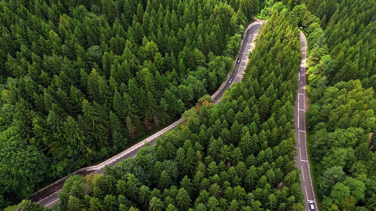 Modern two-lane highway crossing the thick pine tree woods. Top view on the houses located near the forest