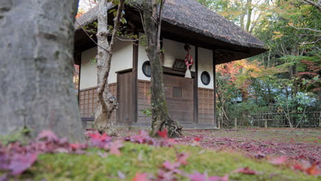 parte de un templo sintoísta en tokio, el jardín está diseñado en detalle para que en otoño destaque el color del musgo y las hojas de arce.