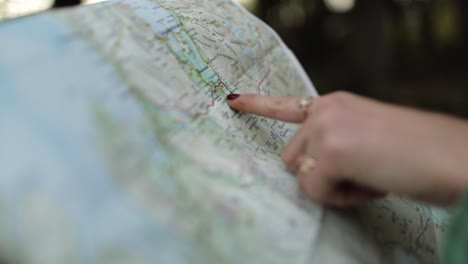 cropped anonymous tourist with map in field