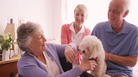 happy family petting a dog