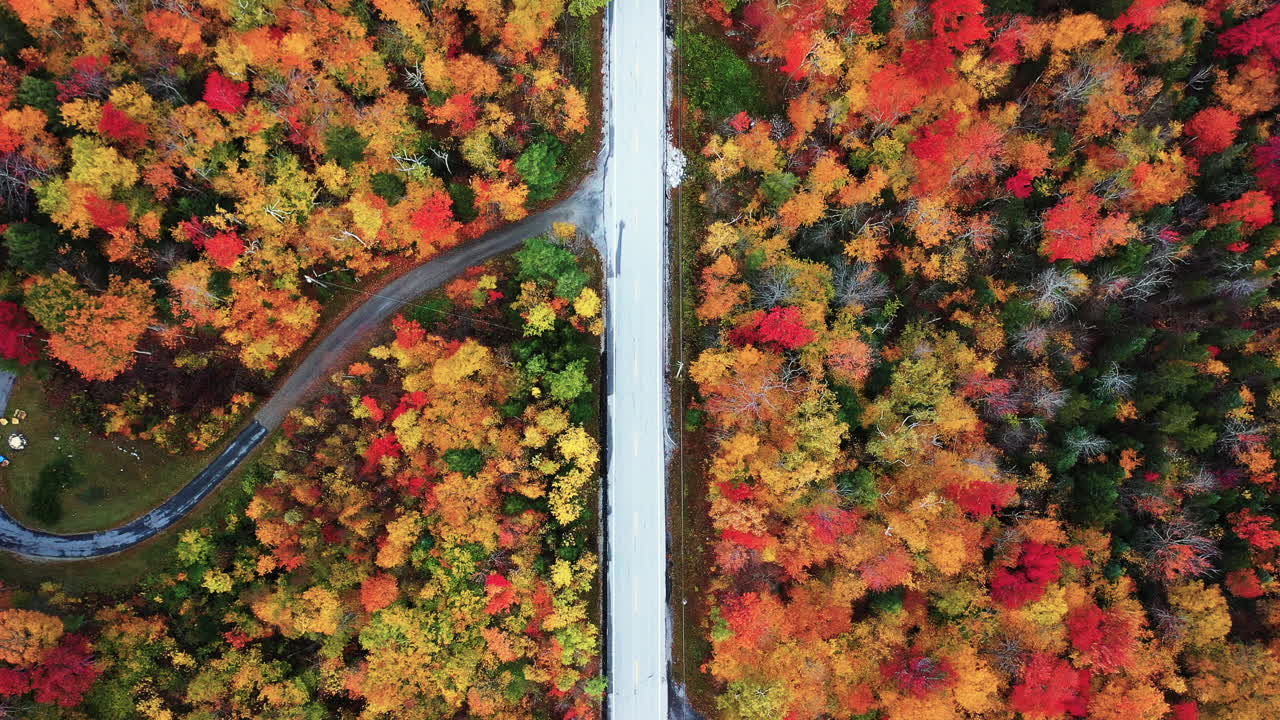 vista aérea de pájaro de la carretera vacía en el mágico bosque multicolor en la hoja de otoño en el campo americano, disparo de drones de gran ángulo