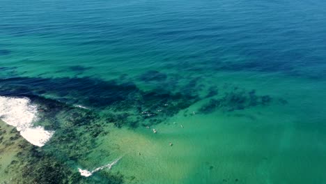 Vuelo-Aéreo-De-Drones-Sobre-Tiro-De-Agua-Cristalina-Con-Surfistas-En-Shelly-Beach-Paisaje-Del-Océano-Pacífico-Costa-Central-Nsw-Australia-4k