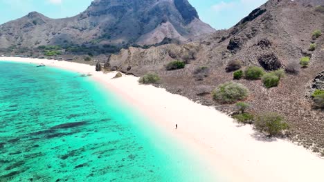 playa rosa, komodo, indonesia. turista disfrutando de un paseo por la playa en un paraíso exótico. dron