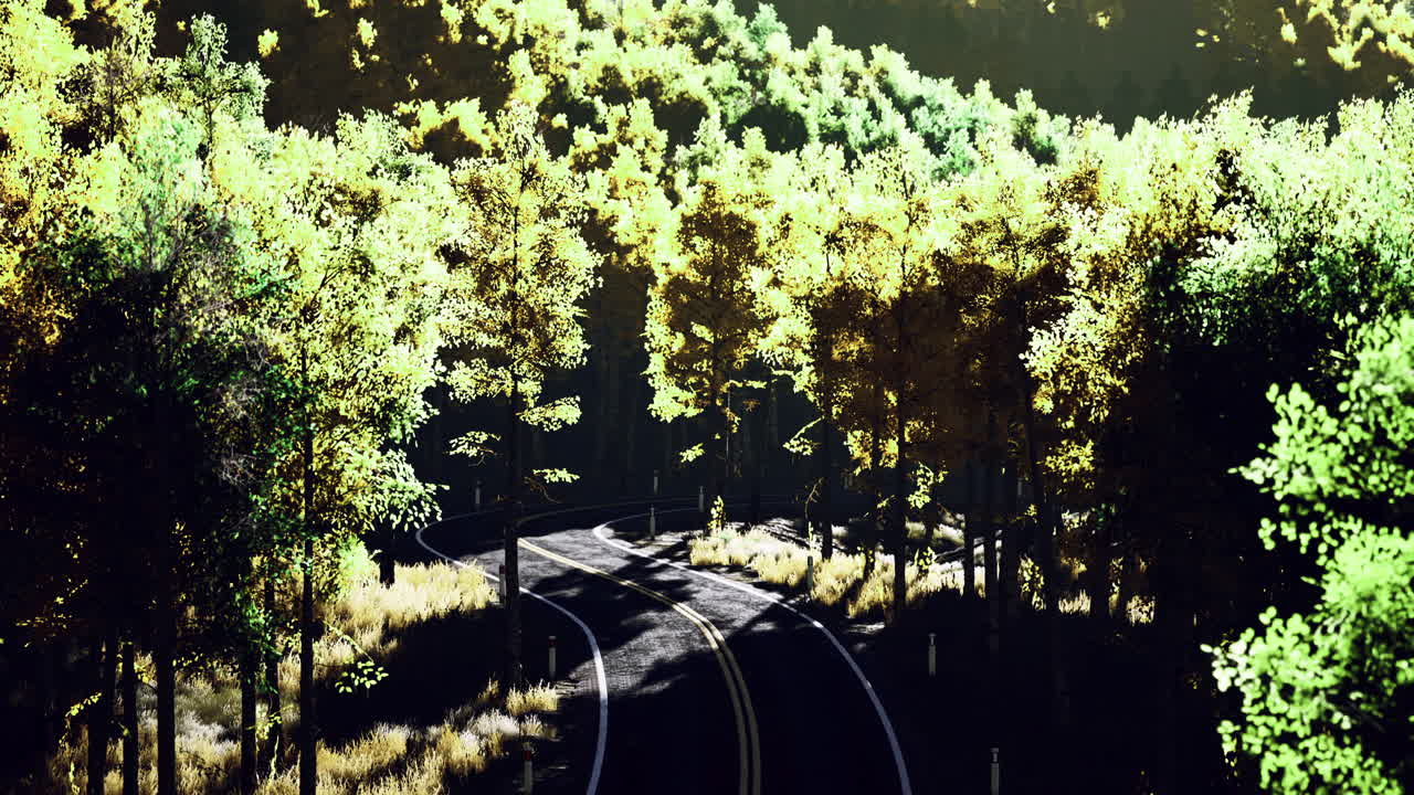 Winding road through lush green forest during bright daylight hours