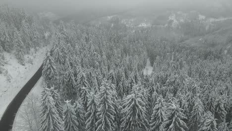 Enthüllt-Das-Malerische-Winterwunderland-Neben-Einer-Leeren-Straße