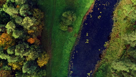 aerial rotating overview of a narrow river passing through a lush green forest at daytime