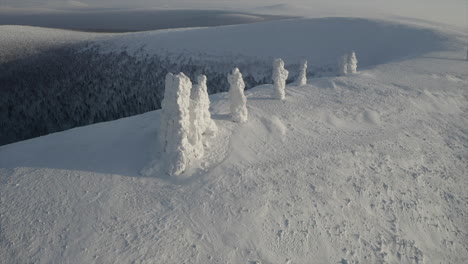 esculturas congeladas en el pico de la montaña nevada