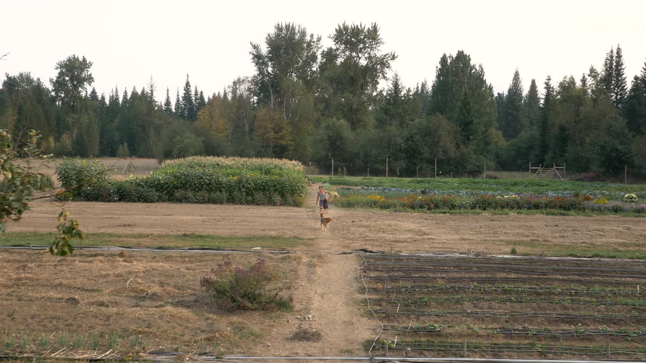 Woman walking a dog through a farm field with various crops