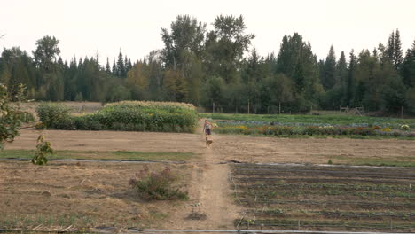 woman walking a dog through a farm field with various crops