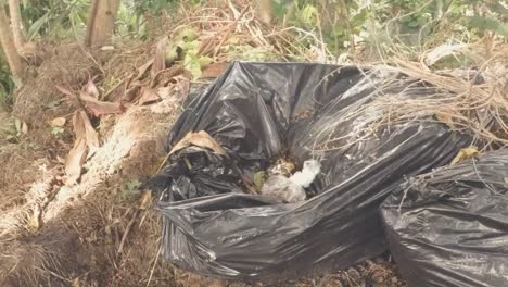 shot closing in of trash bag with small puddle