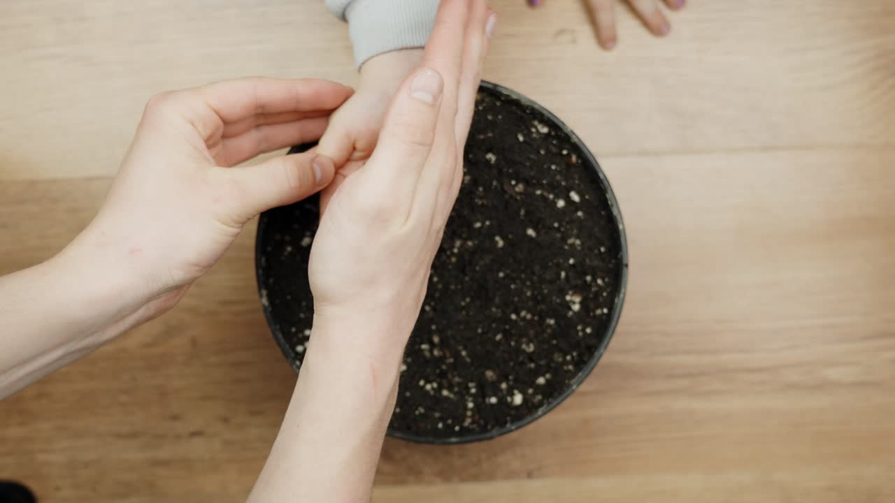 Two people planting seeds together in soil, close-up of hands, calm and caring mood