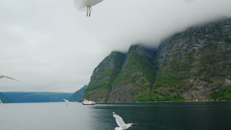 cruise along the picturesque fjord in norway view from the ship