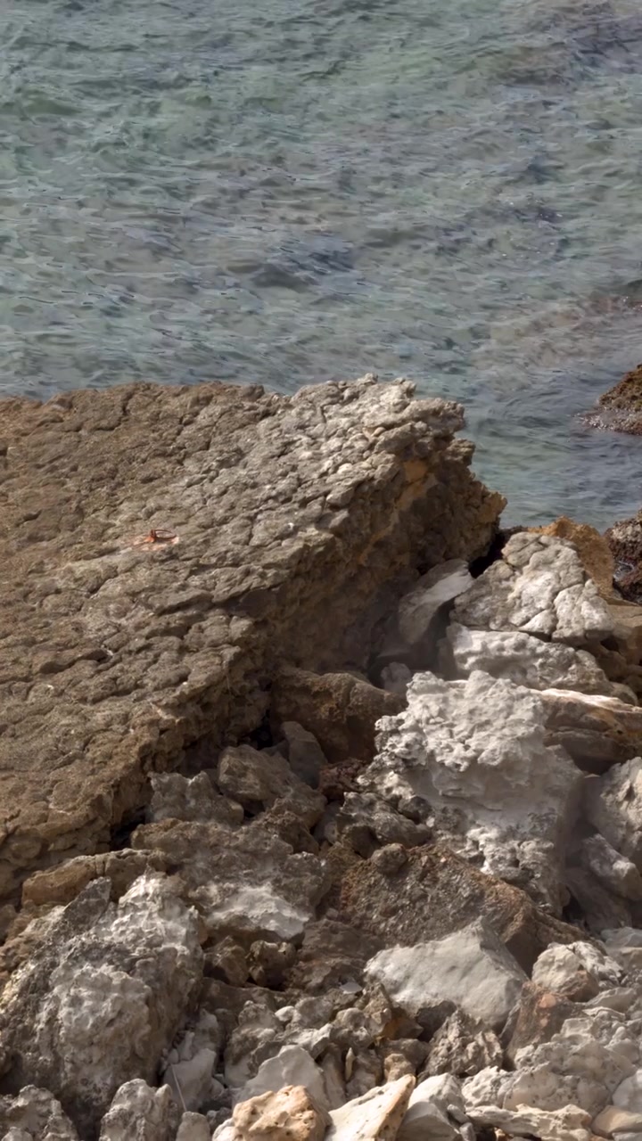 Ripresa dall'alto di onde mediterranee che si infrangono su scogliere calcaree frastagliate sotto la luminosa luce naturale del giorno