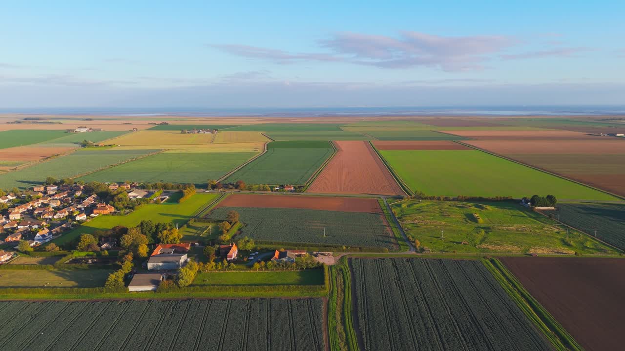 Rural Agricultural footage of Lincolnshire farmland with crops growing in patchwork fields on the east coast of Britain. Acres of farmland surrounded by small rural village home