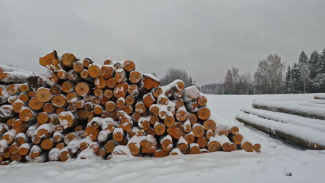 stacks of log piled up from trees harvested from the forest during a light winter snow