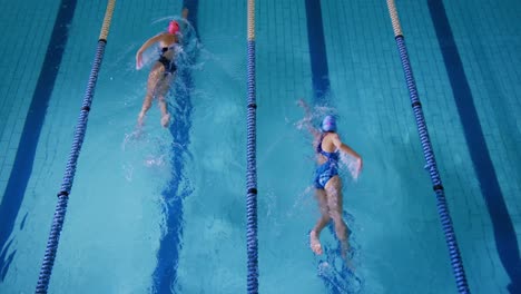 swimmers training in a swimming pool