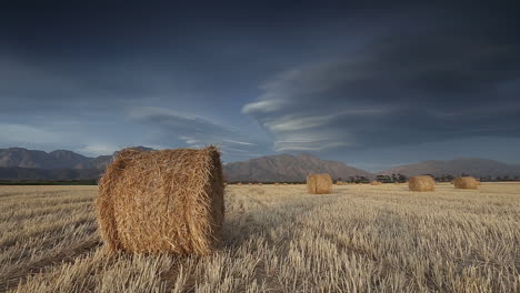 bales of lucern straw hay standing in a freshly harvested field against a moody sky and mountains