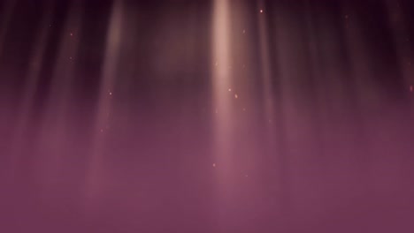 floating light spots and particles