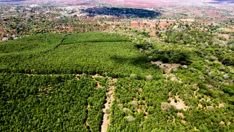 Drohnenansicht---Afrika-Wald---Afrika-Buschfeuer