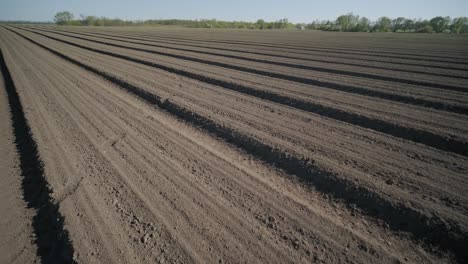 view of a plowed and cultivated farm field. agricultural field is ready for planting and sowing.