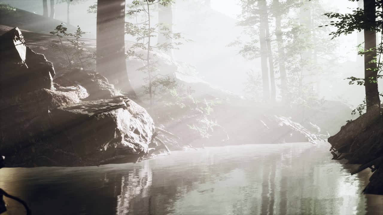 이른 아침에  ⁇ 색 밀집 안개가 연못을  ⁇ 고 있습니다.