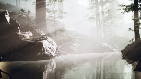 early morning white dense fog covering the pond