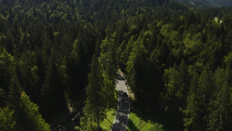 Cinematic-aerial-tracking-shot-of-sports-car-making-its-way-up-a-German-mountainside