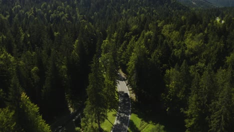 cinematic aerial tracking shot of sports car making its way up a german mountainside