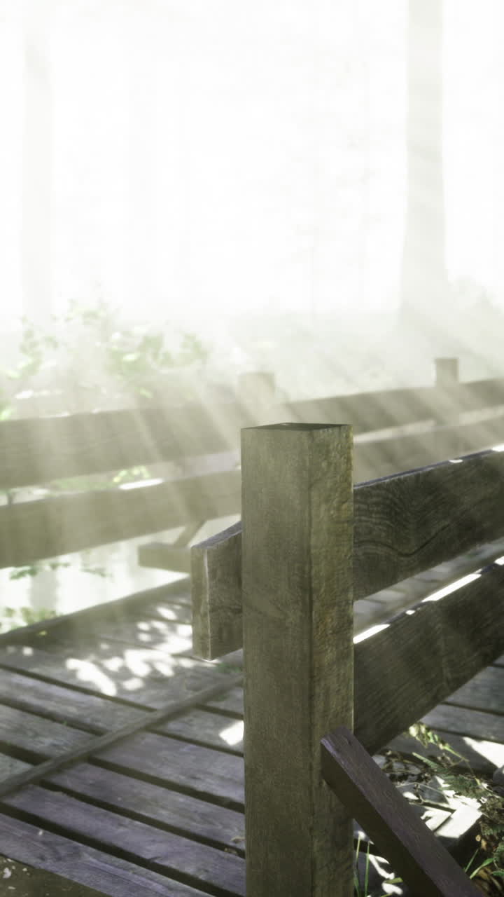 Mystical wooden bridge in serene forest bathed in soft morning light