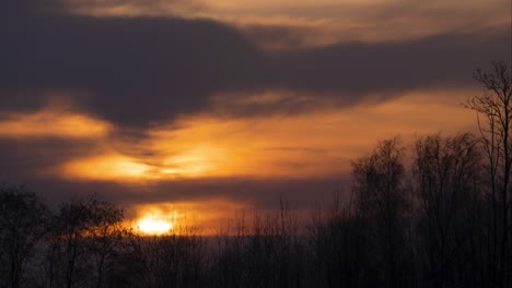 Orange-large-sun-going-behind-grey-cumulus-clouds-with-tree-top-background