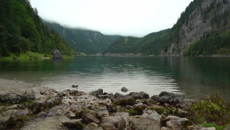 ducks swimming in the lake of gosausee