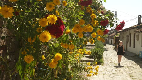 Woman-walks-on-charming-street-with-beautiful-red-and-yellow-climbing-roses