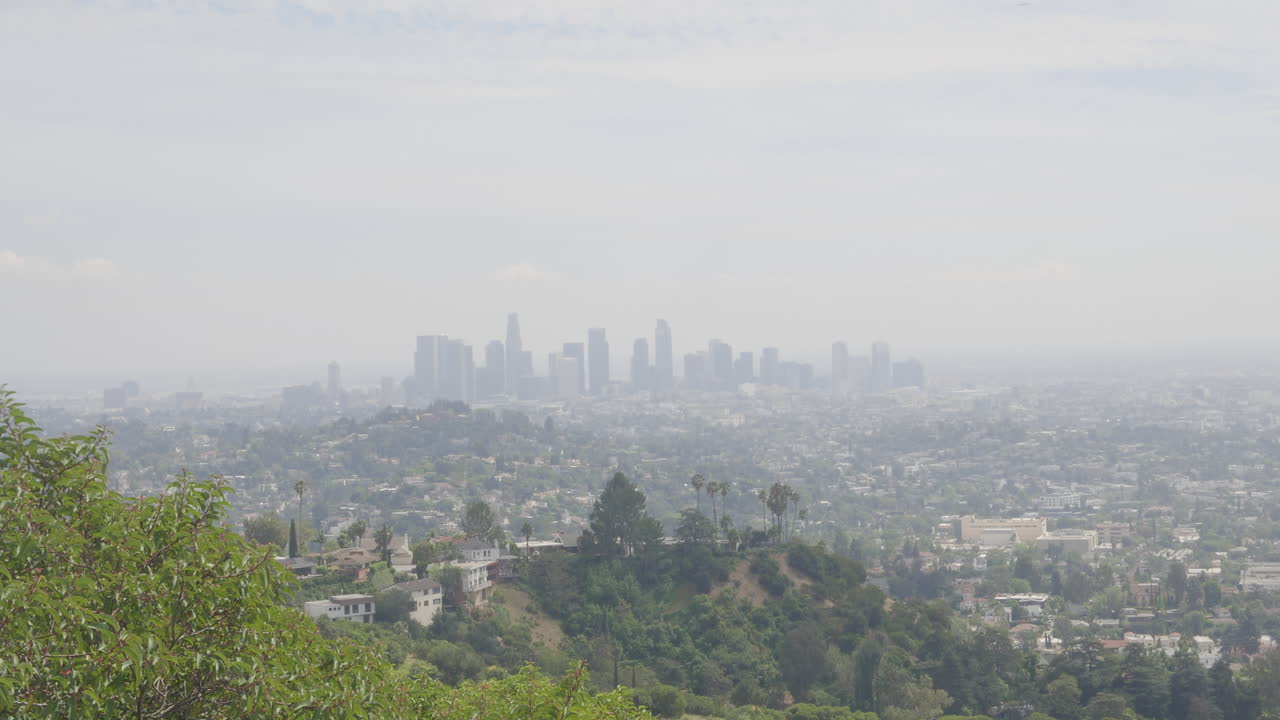 Filmato cinematografico diurno 4K a 10 bit da DSLR catturato da un punto panoramico a Griffith Park, con un'angolazione alternativa che guarda verso lo skyline del centro di Los Angeles in lontananza.
