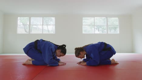 judokas leaning in order to greet each other