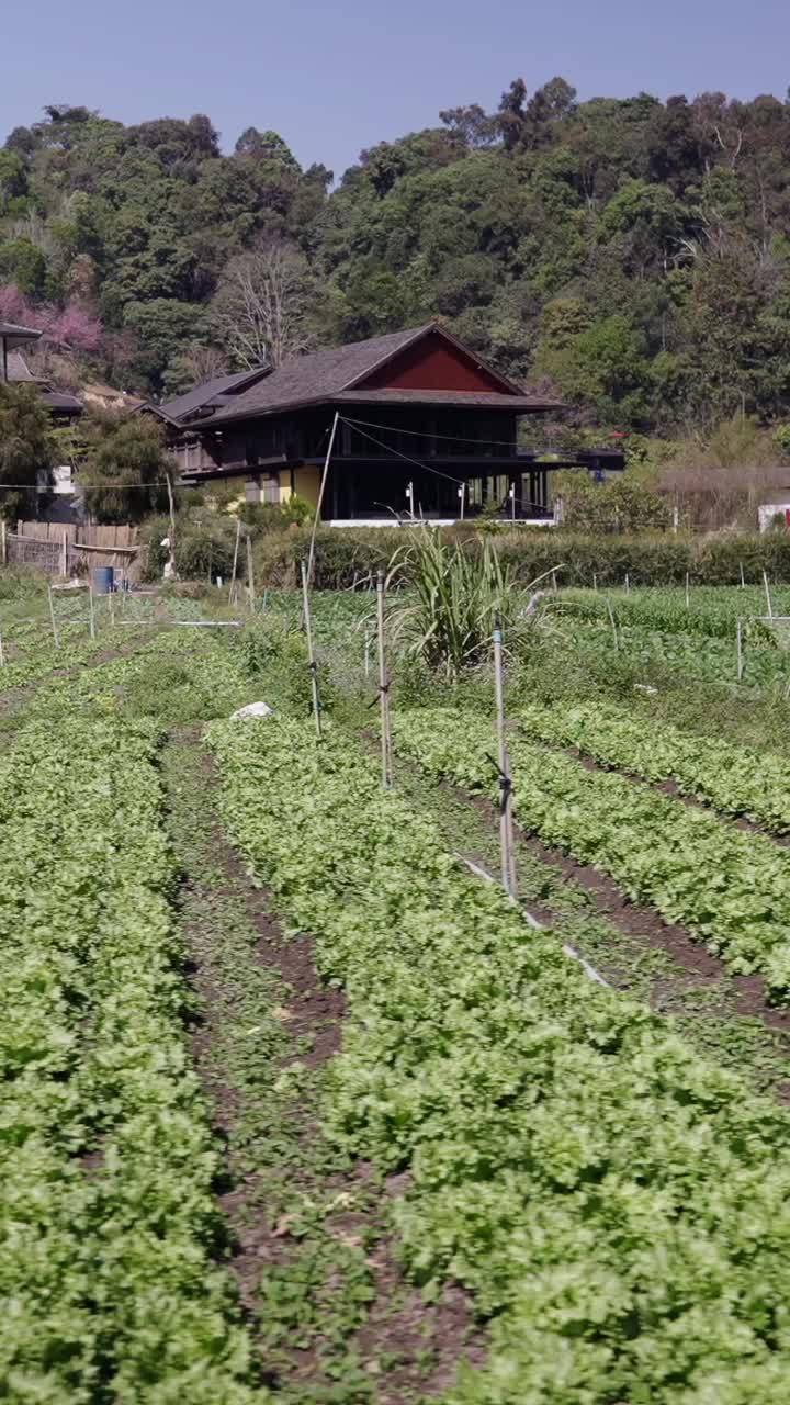 Rural Farm with Traditional House
