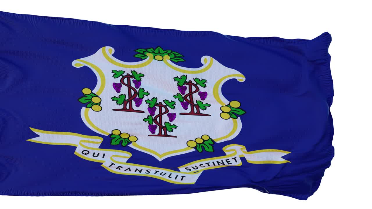 코네티 발: 고립된 현실적인 애니메이션, 원활한 루프, 4k