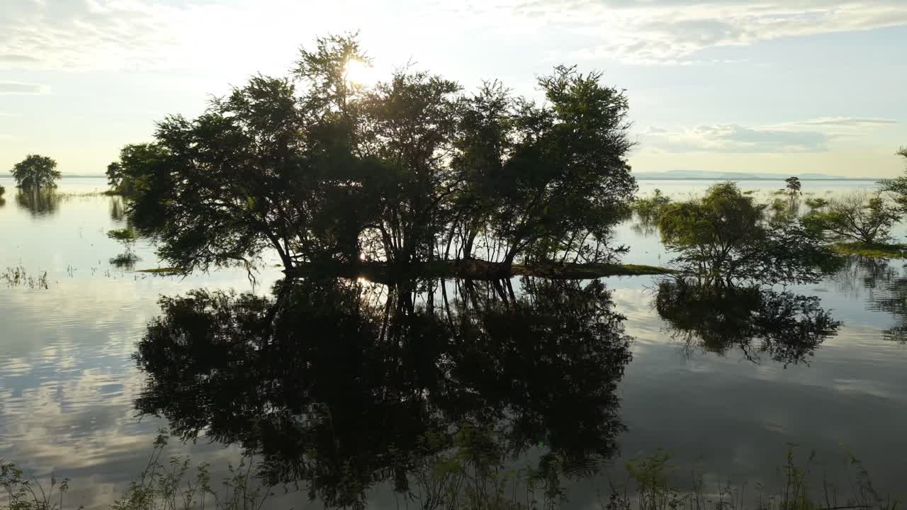 Flooded Trees Reflecting in Calm Water at Sunrise/Sunset