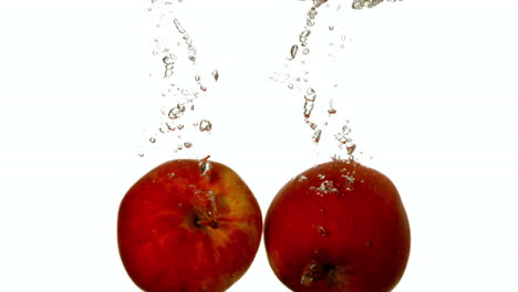 manzanas rojas sumergiéndose en el agua sobre un fondo blanco