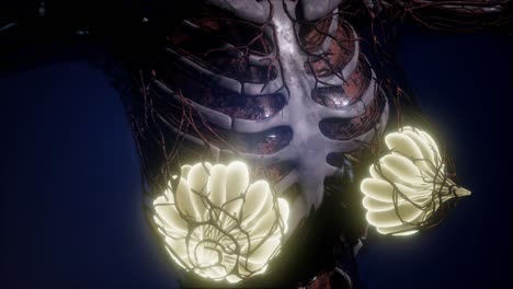 cuerpo humano con brillo visible glándula mamaria