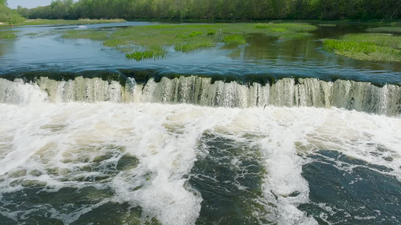 Aerial establishing view of Vimba fish , Kuldiga, sunny spring day, slow motion drone dolly shot