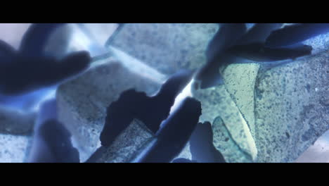 microscopic crystal structures