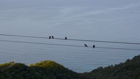 在綠色山丘和平靜的海面背景下,