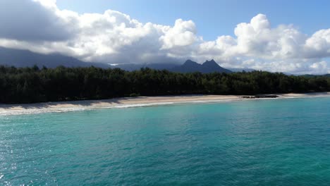 langsam vom friedlichen tropischen hawaiianischen strand wegfliegen, der von dschungel umgeben ist